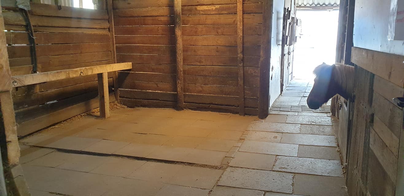 Putzplatz im Holzstall