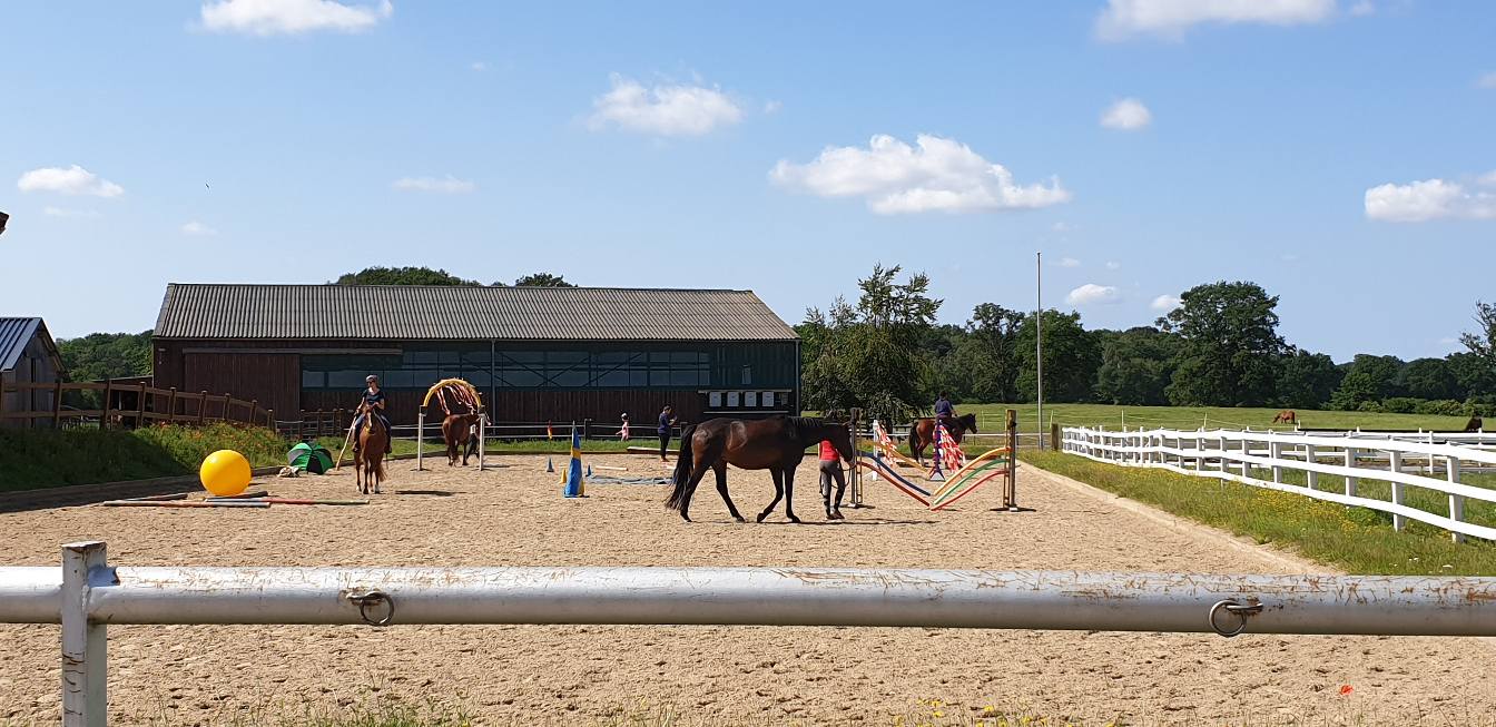 Bodenarbeit und Reiten auf dem Außenplatz