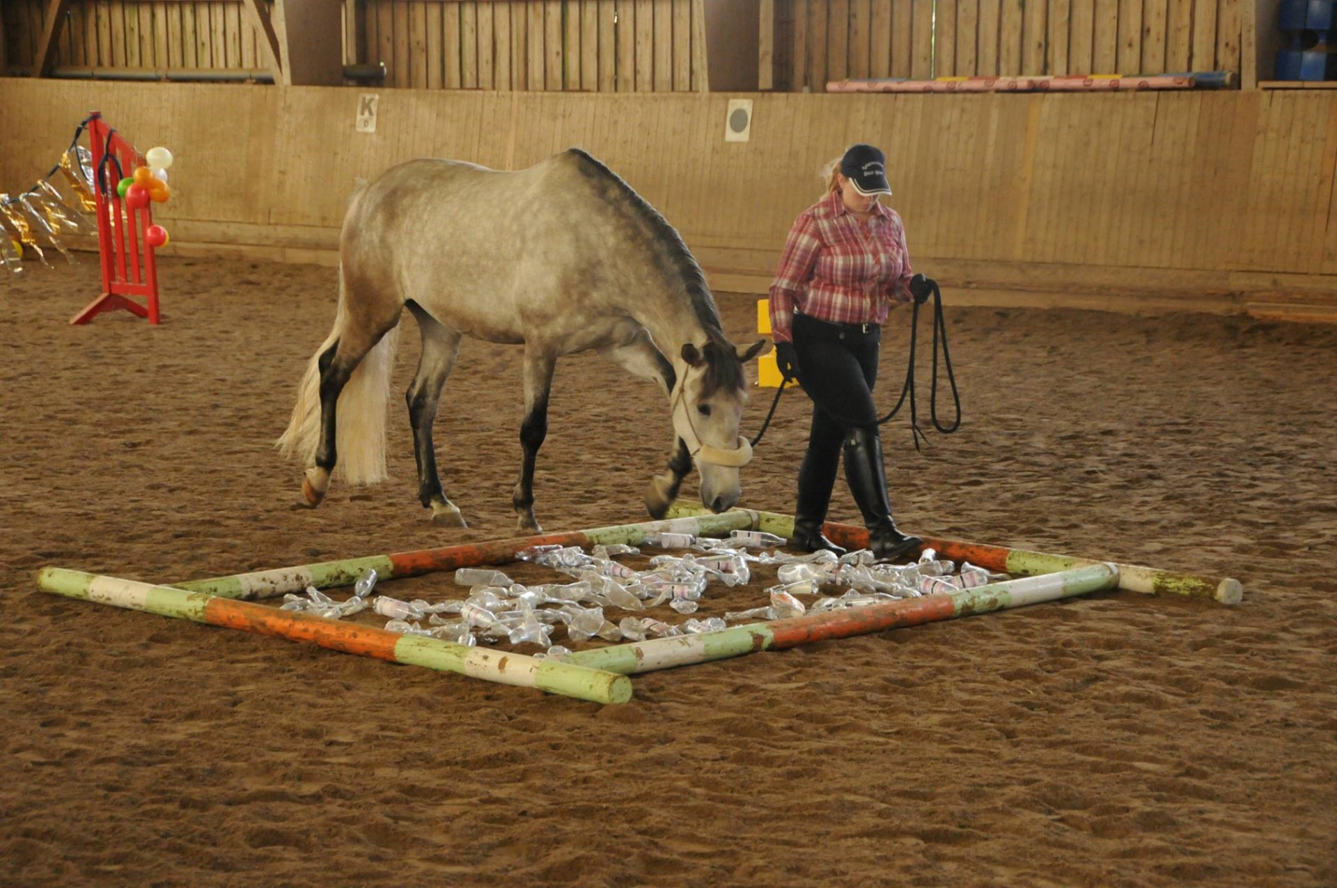 Gelassenheitstraining mit Pony in der Halle