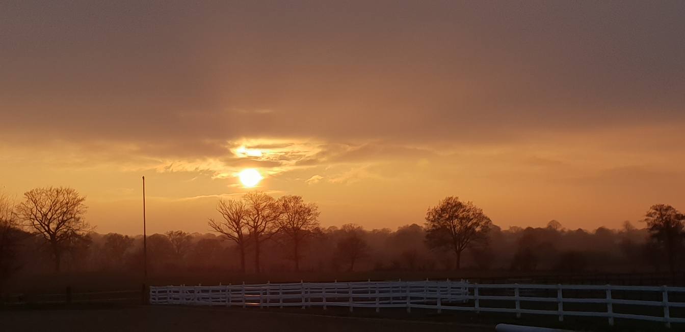 Sonnenuntergang hinter den Bäumen am Hof